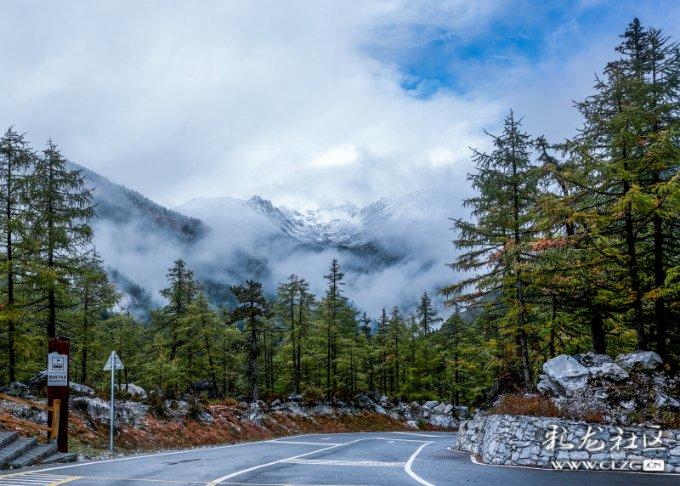 这款七零后老游戏又上热搜了 魔方小方块有何魔力