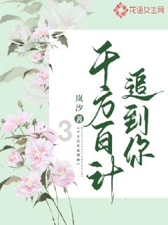 88影视