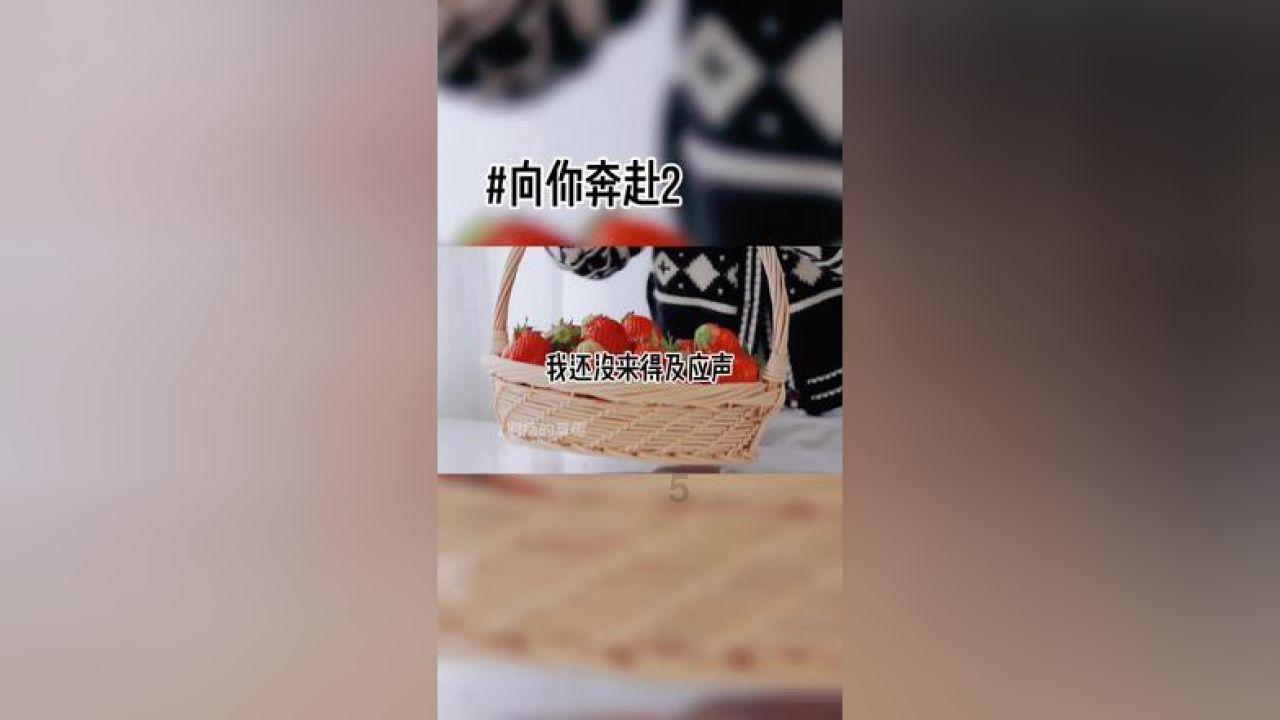 拯救机灵鸟