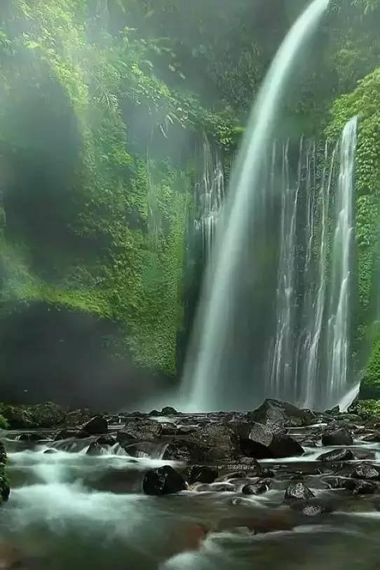 厉害了我的巧虎7