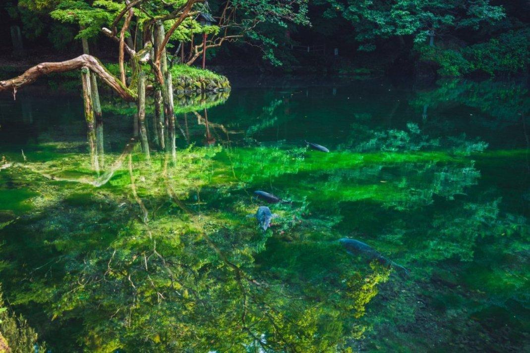 欧洲的旅行