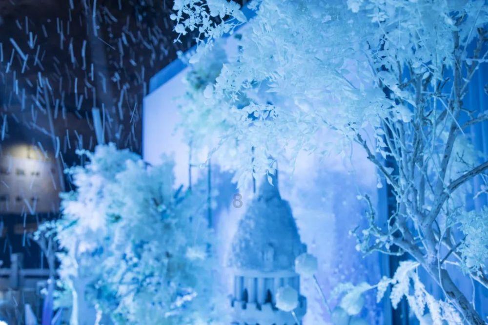 现实版“冰雪奇缘”!卫星视角看冬季哈尔滨