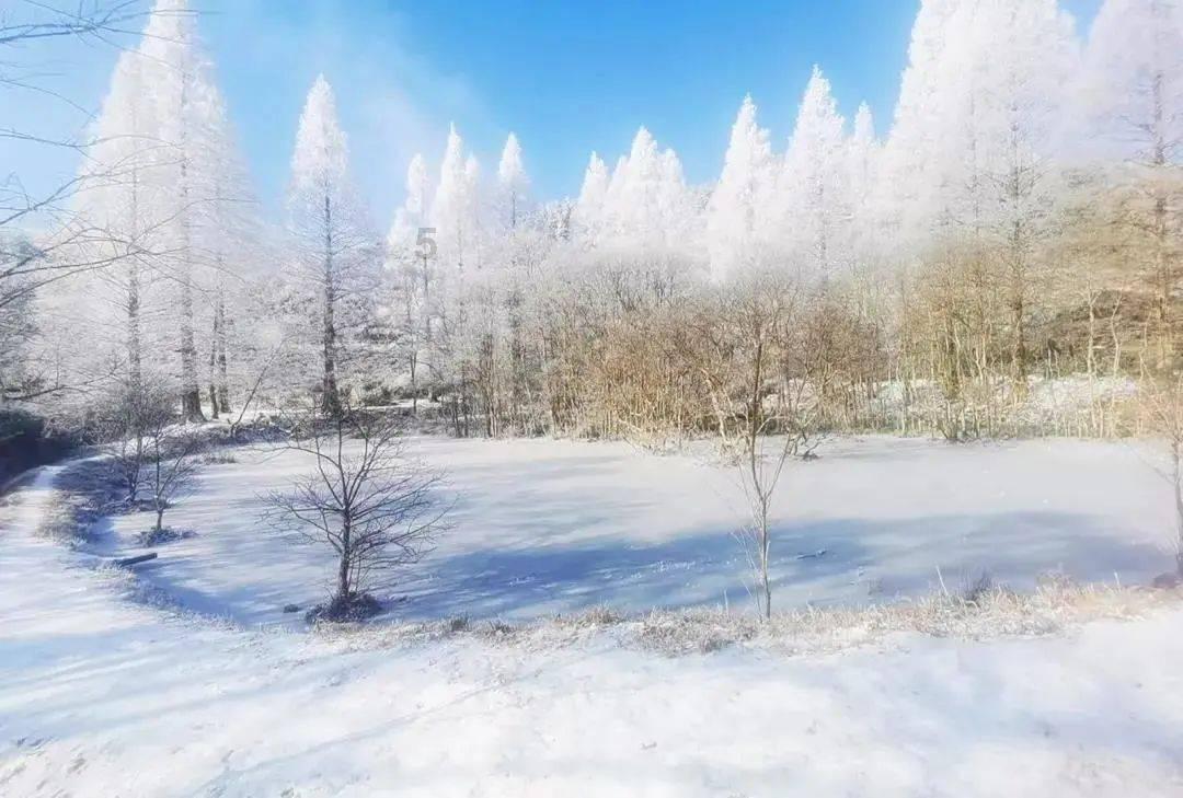 探索睡眠时间是几点?,打开知识星球的大门