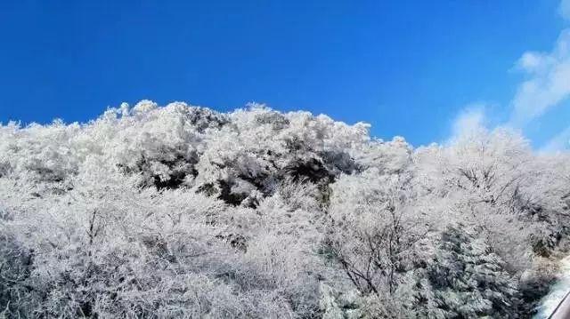 迷你飞机大战