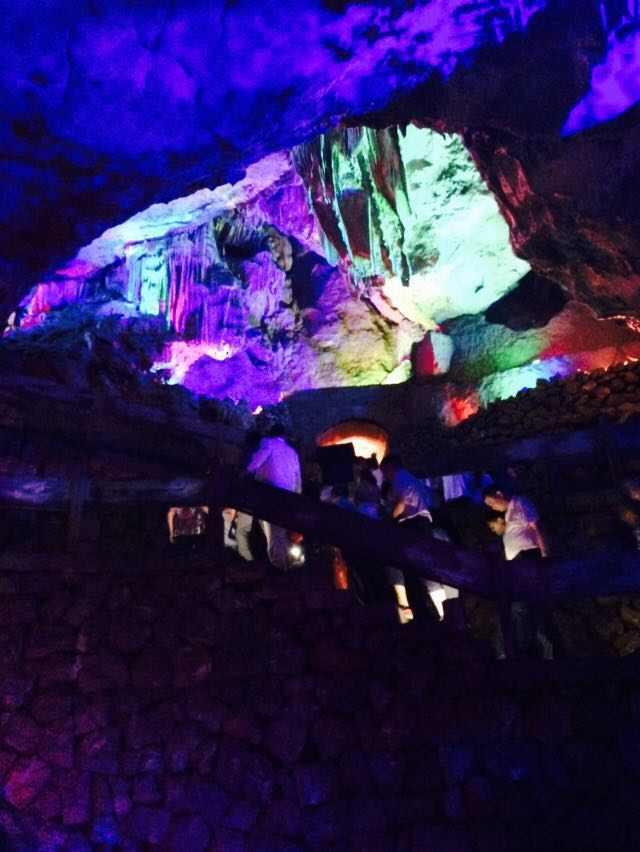 逃离鱼店