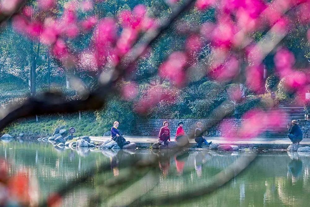 2024年华语乐坛开局就是王炸，邓紫棋沦为“最惨打工人”