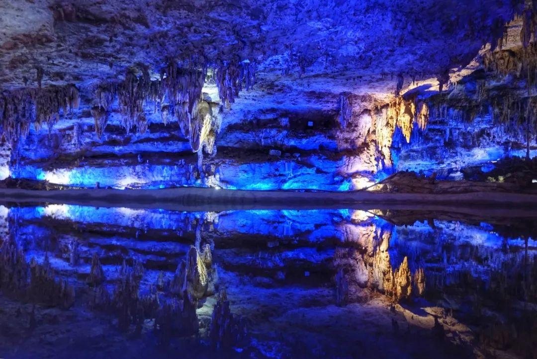 护林员年薪50万不许下山，只能带手机或者媳妇，干不干？游戏画面