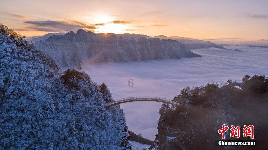 为什么那么多人学厨，厨师有那么好吗？游戏画面