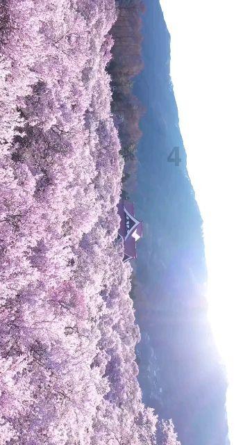嘉日单词