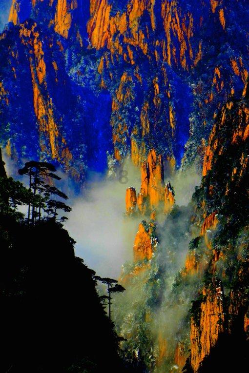 蝎子逃生之地