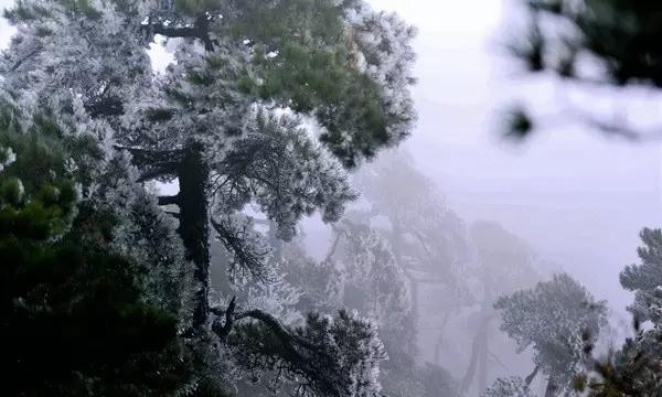 脑洞小老弟无实名认证