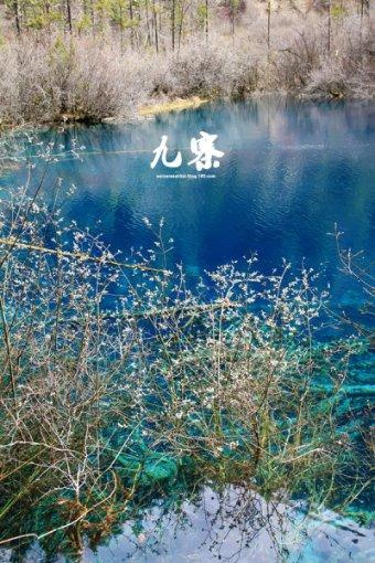 次元喵