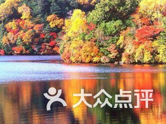 华发股份：2023年度实现签约金额1259.9亿元