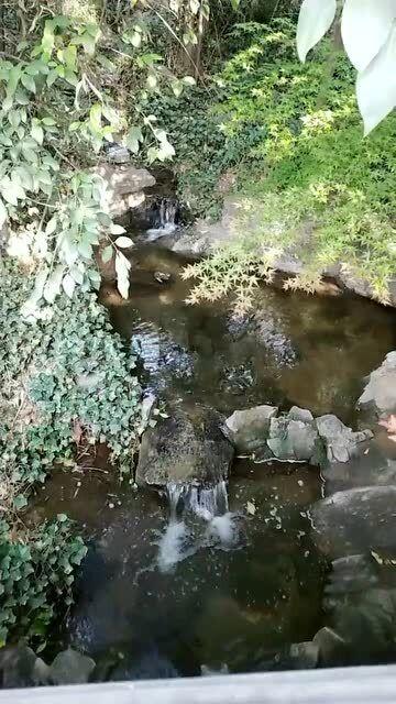 坦克防御战争