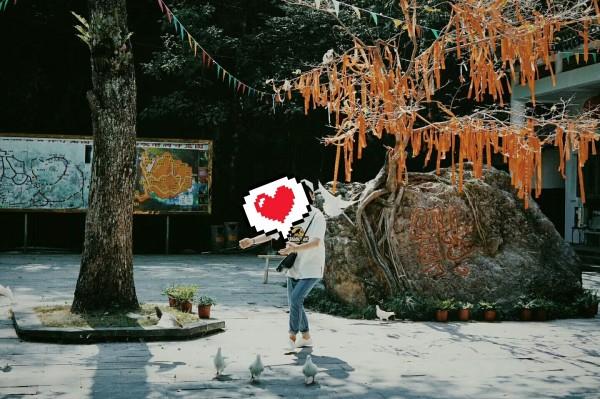 腊月之后观赏鱼的生意开始转好