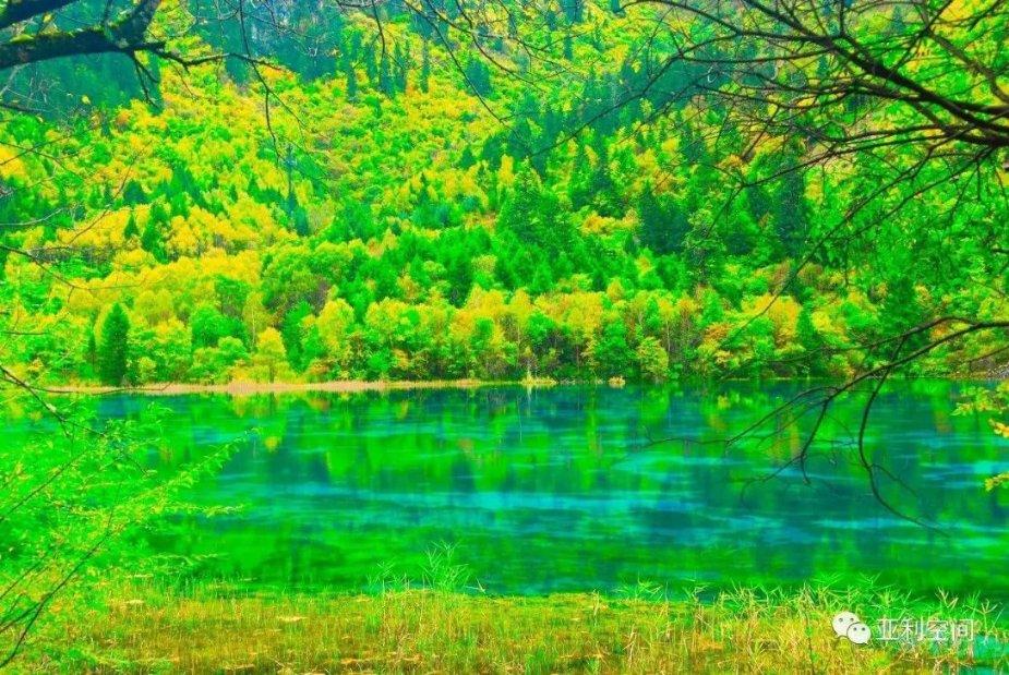 虫虫助手下载