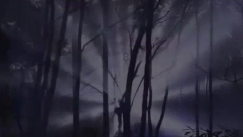 沪江开心词场