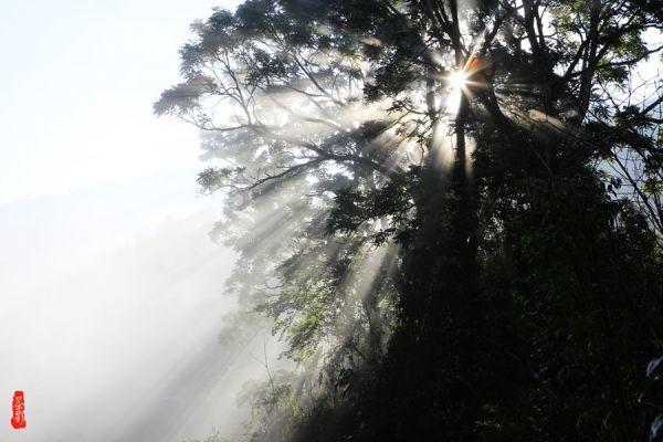 虫虫助手下载