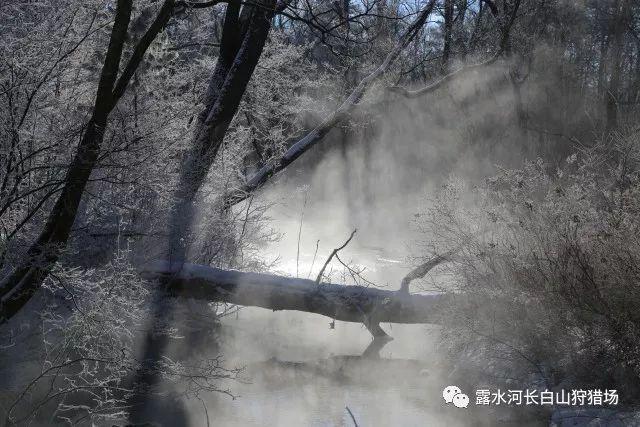苹果拍出贺岁大片《小蒜头》