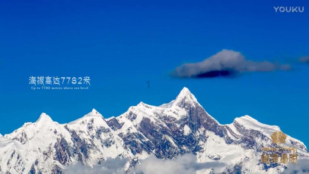 救援旅行男孩