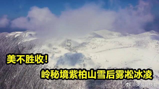 沪江开心词场