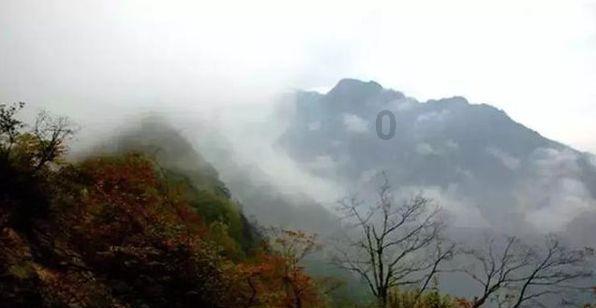 广州公交车是怎么收费的，就那个投币什么的，我几年没做过有点脱钩麻烦告知？游戏画面