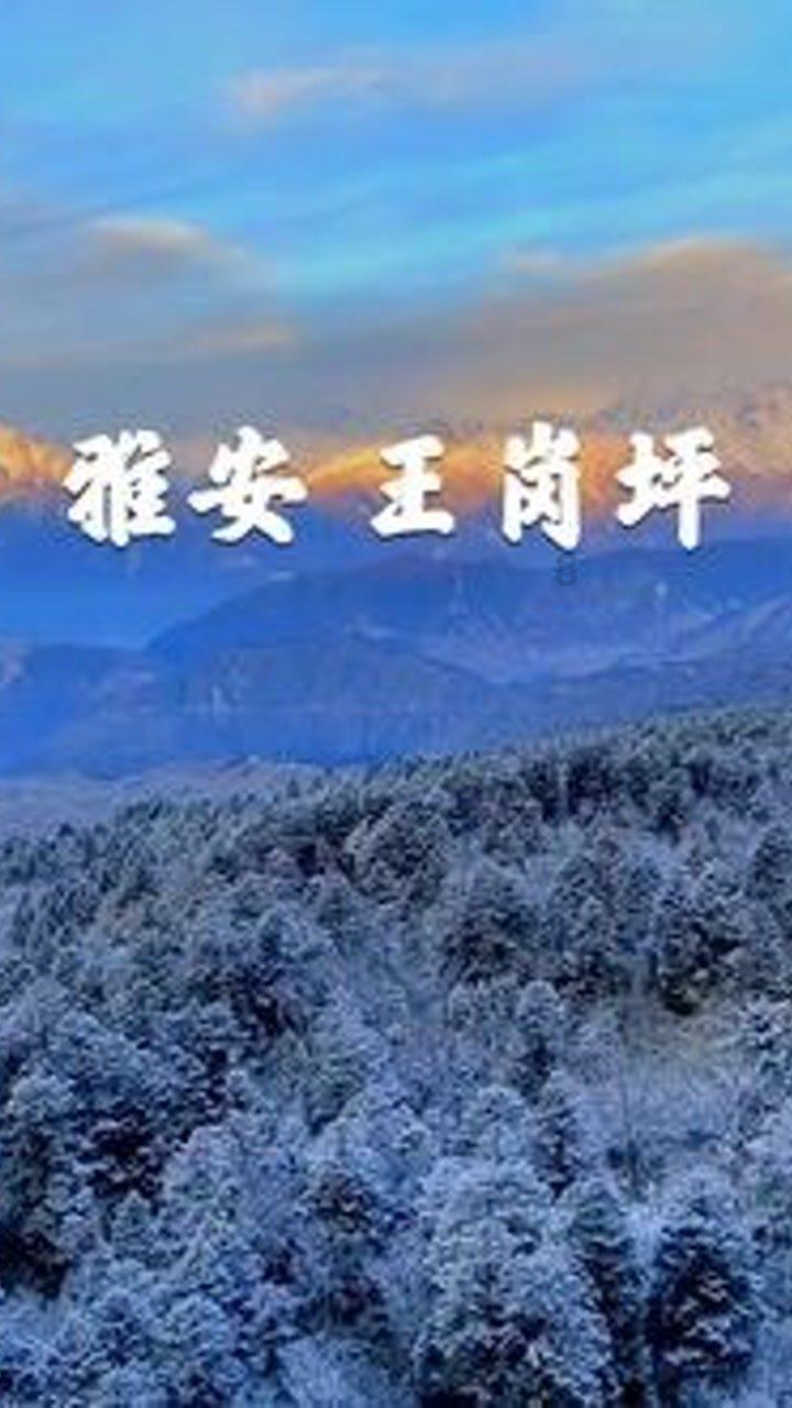 结婚需要考虑哪些问题？游戏画面
