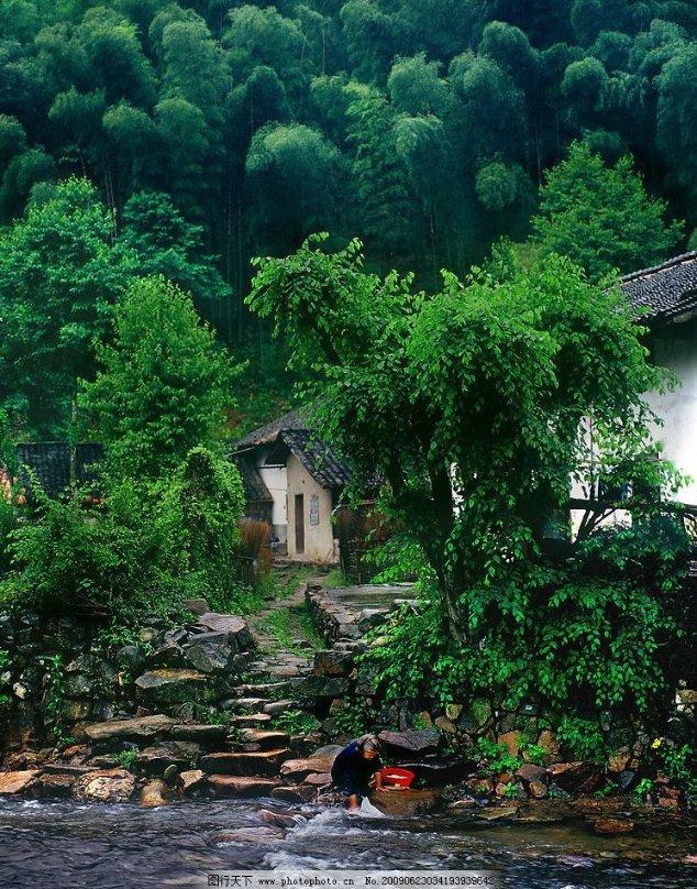 除虫大师
