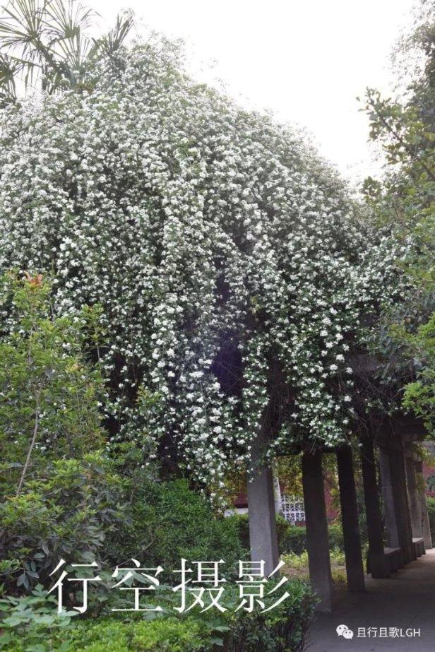 绘真·妙笔千山