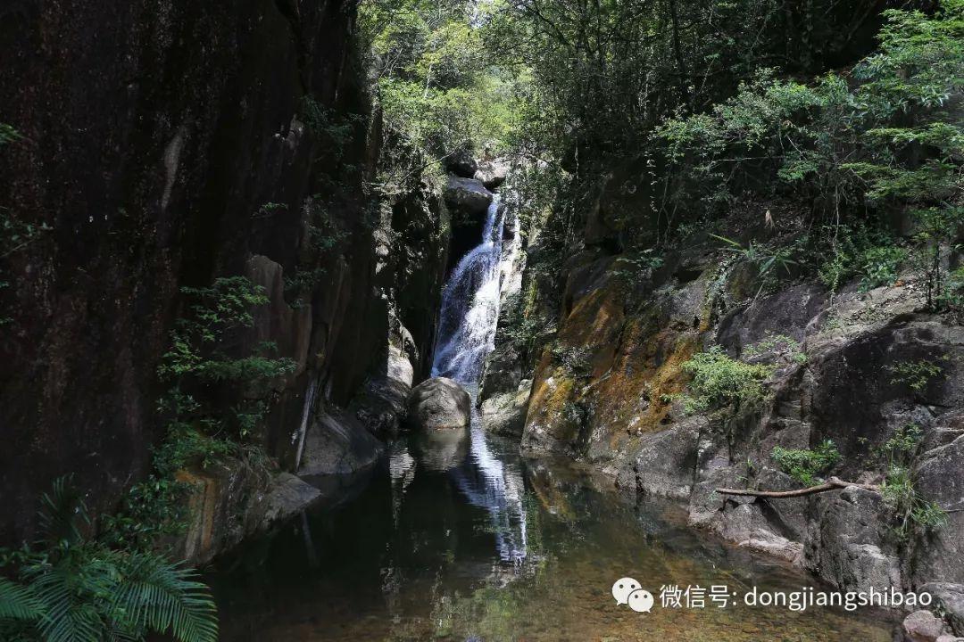 夏日时尚的爱丽