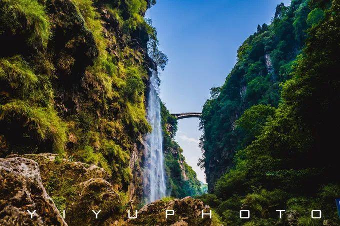 沪江开心词场