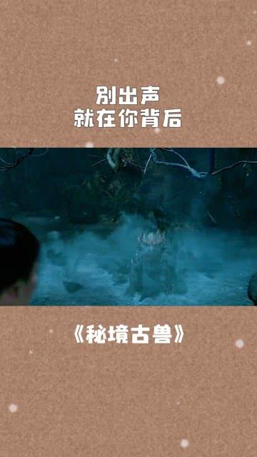小猫钓鱼正版下载中文版
