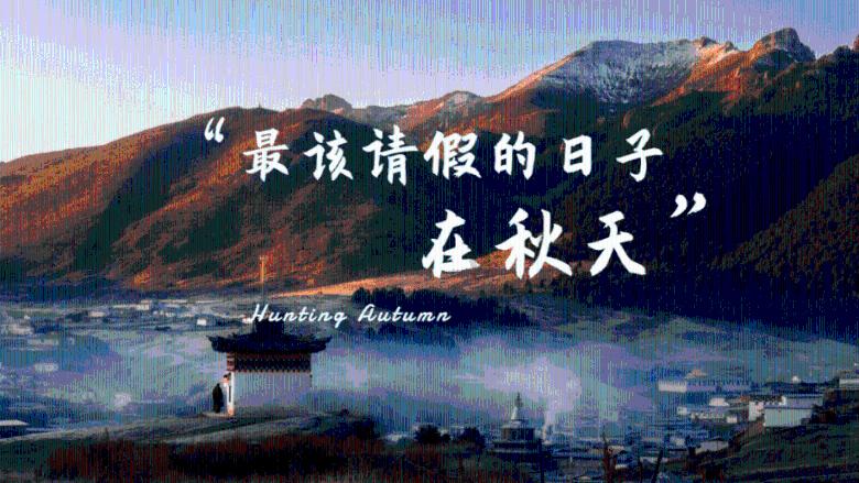萌犬记忆卡