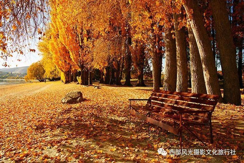 憨豆先生趣味拼图