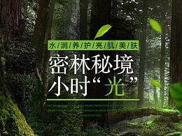 植物大战僵尸