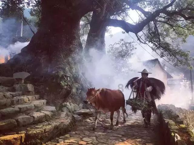 吉鲁社媒晒照:尽全力拿下胜利,我们与迈尼昂同在