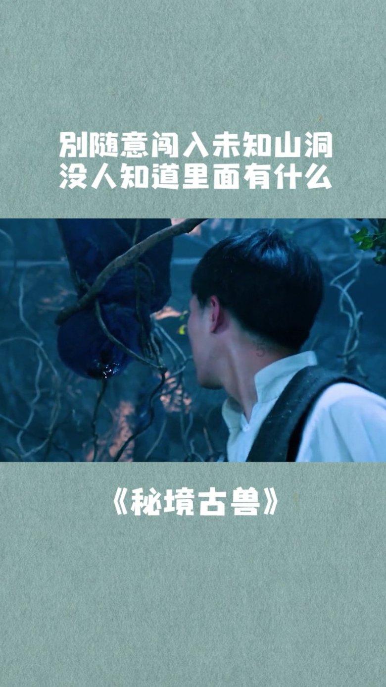 望江雷池镇：优化营商环境 推动高质量发展