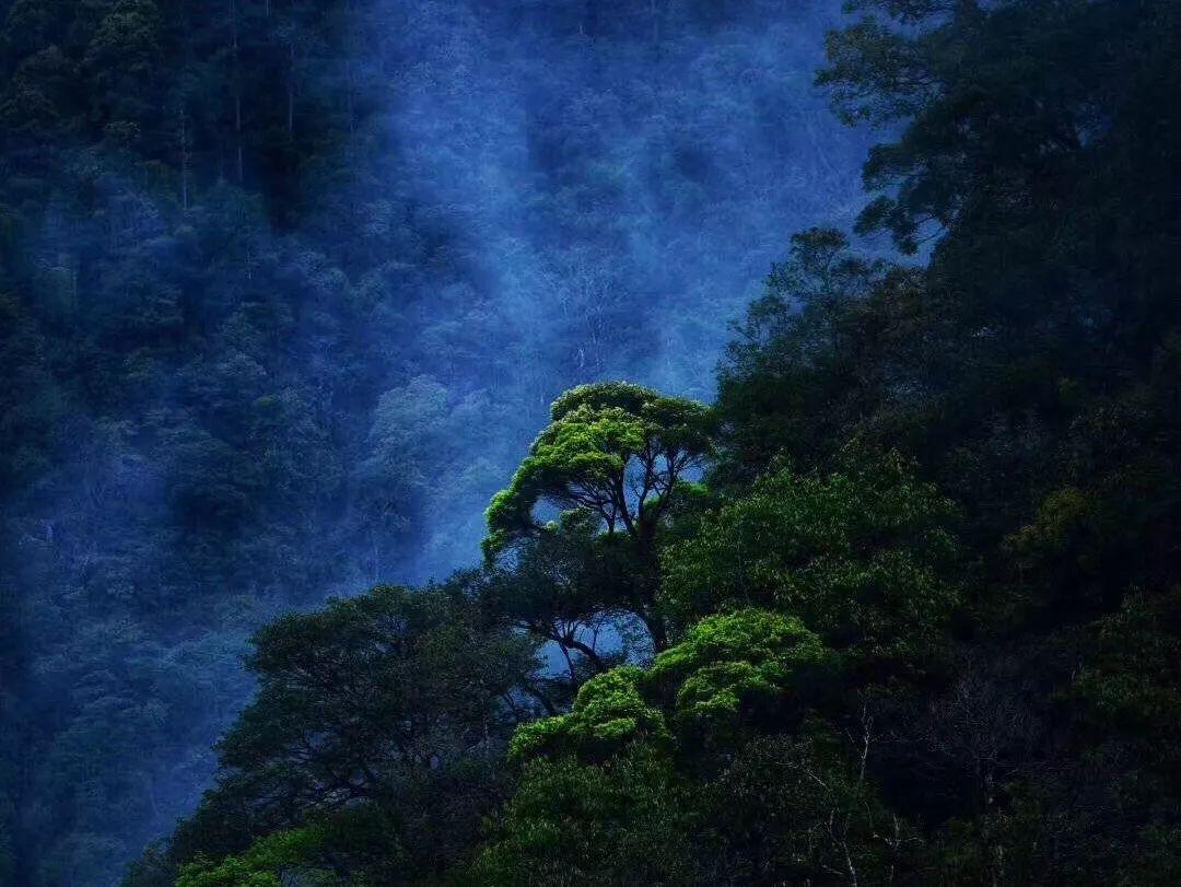 机械迷城