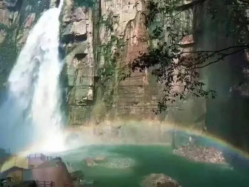 春雨直播app