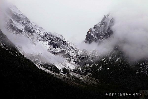 装甲坦克大战无敌版