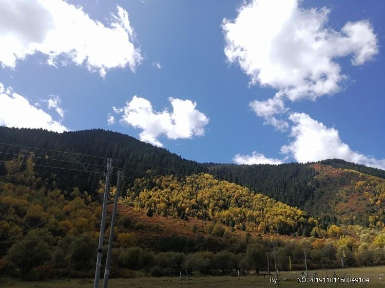 大糕甜蜜蜜年糕糯叽叽：余姚龙年农博会开卖