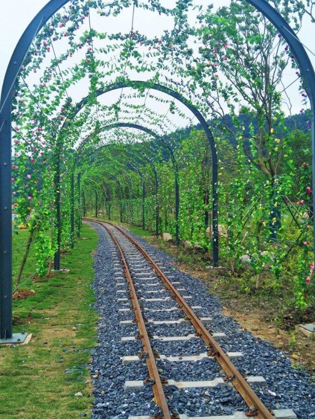 逃出蜜蜂岛