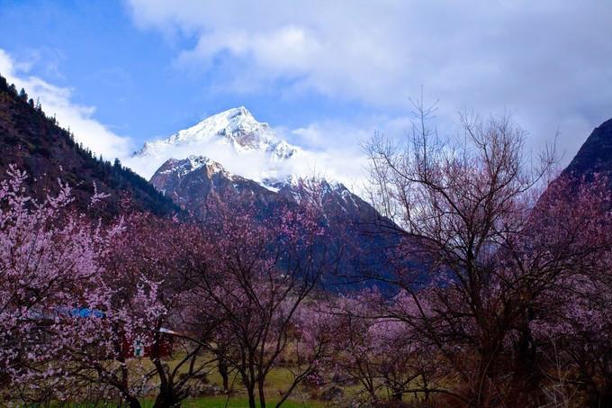 低至8℃!海南还要冷几天?预计26日起升温