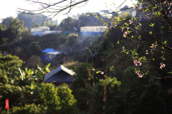 春运首日，铜仁南站输送旅客逾5000人次