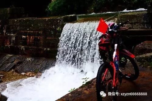 我的老师是偶像