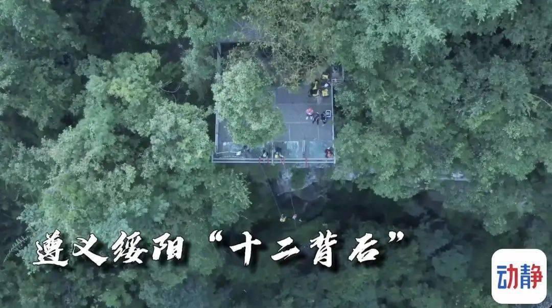 启林律师事务所如何?