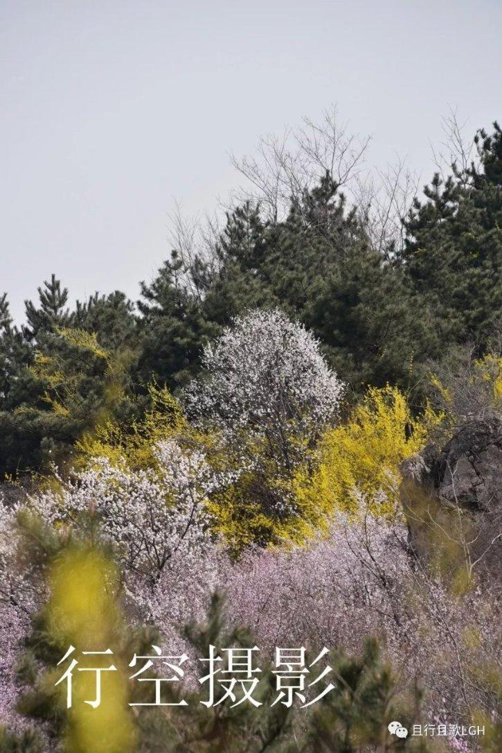 方媛综艺首秀大谈郭富城:小气传闻不攻自破,岳父母接来同住