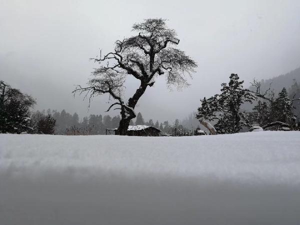 点对点，热饭菜送到老人家里