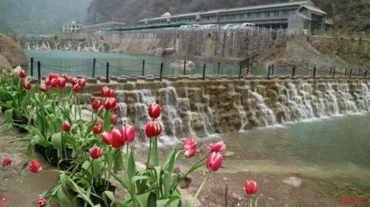 农发行桃源县支行：投放4800万元粮食仓储贷款 助力端牢“中国饭碗”