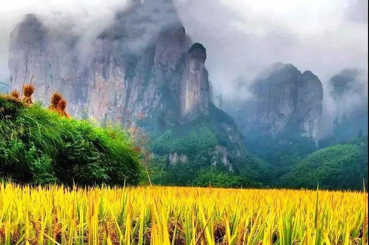 还君一梦之穿越